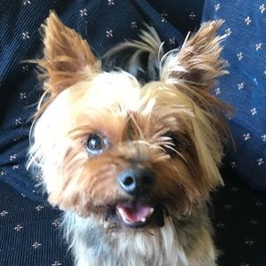 Meet your Posher, Renee